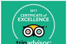 Certificate-of-EXCELLENCE-2017